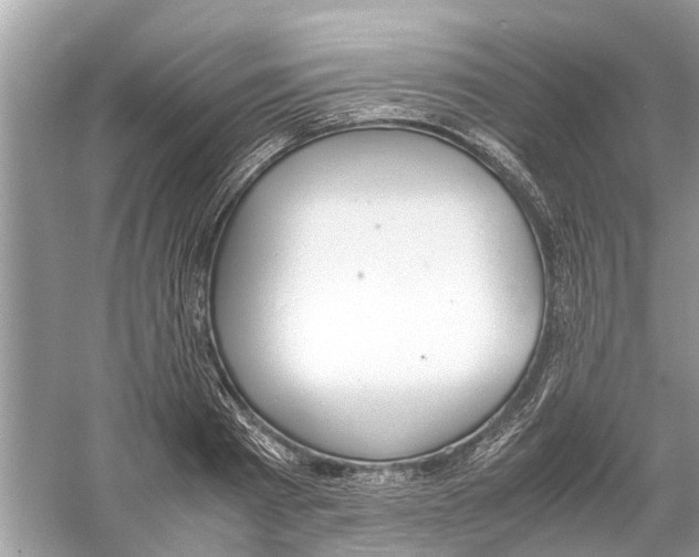 X0000059800793200511181513