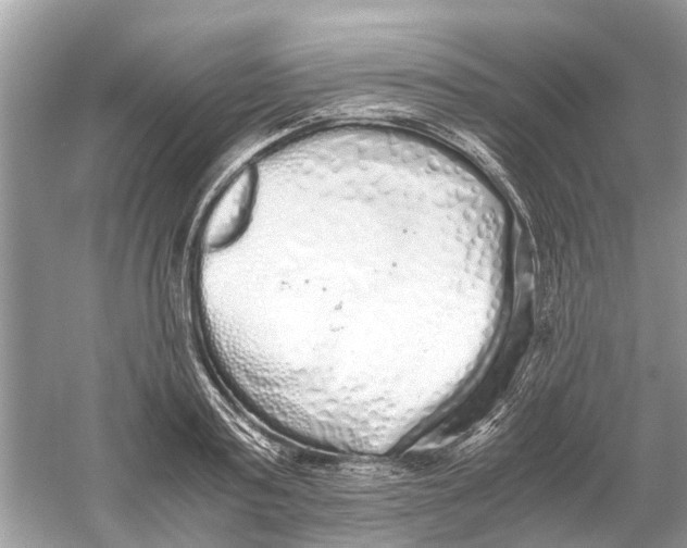 X0000059800795200511181513