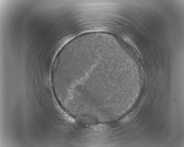 X0000059800797200511181513