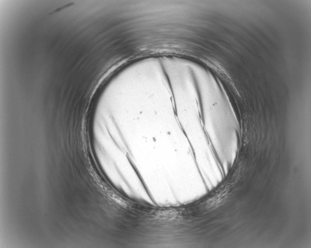 X0000059800798200511181513