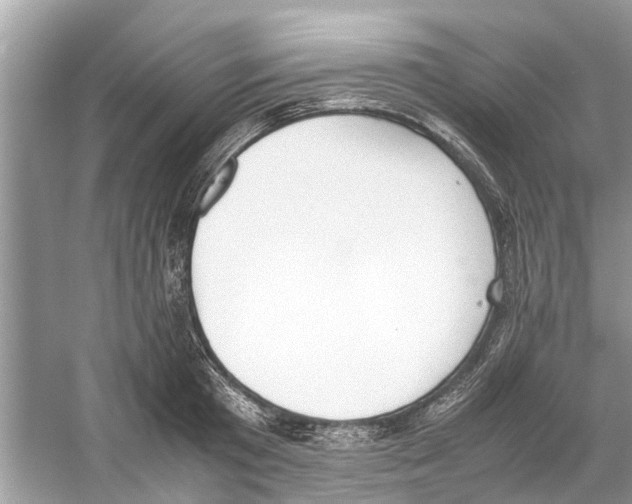 X0000059800801200511181513