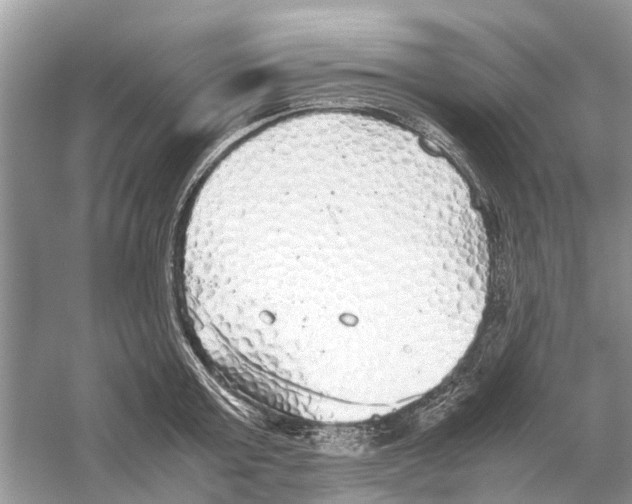 X0000059800803200511181513