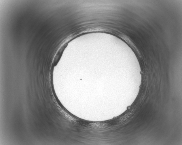 X0000059800805200511181513