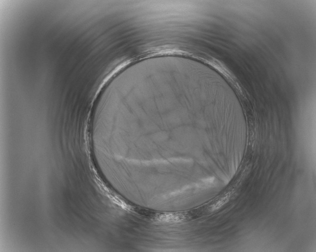 X0000059800806200511181513