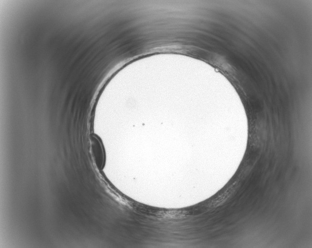 X0000059800808200511181513