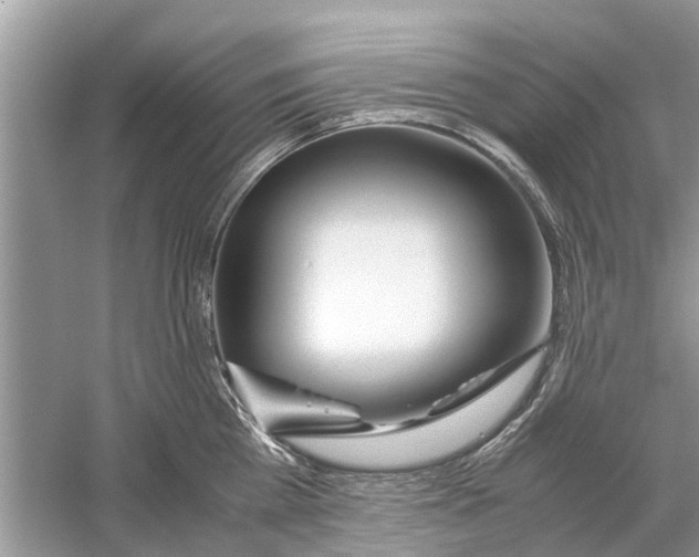 X0000059800809200511181513