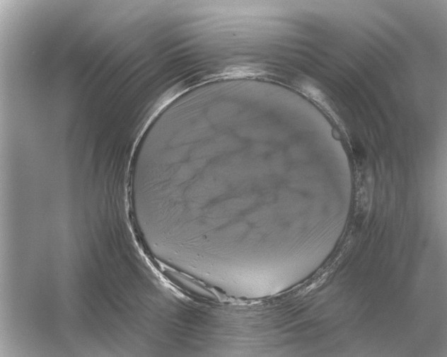 X0000059800810200511181513