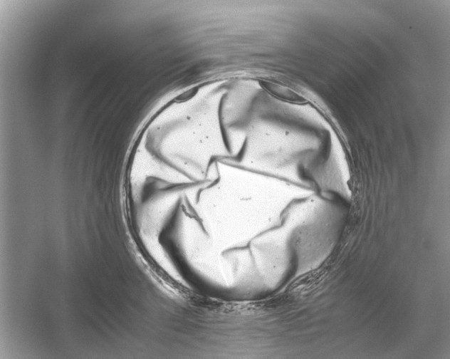 X0000059800811200511181513