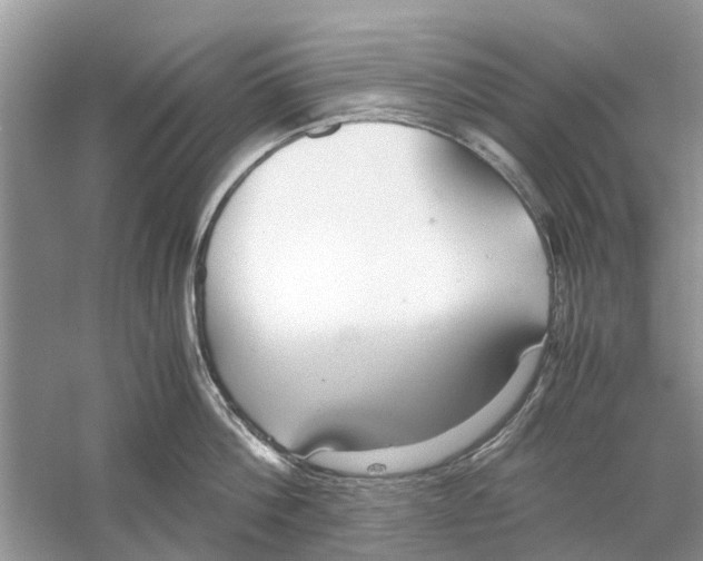 X0000059800812200511181513