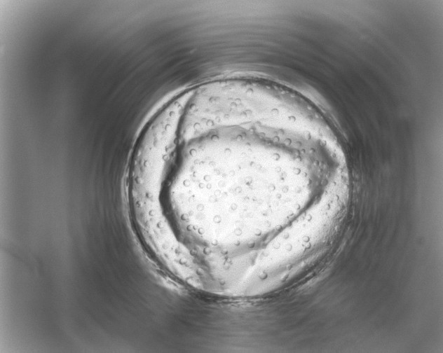 X0000059800814200511181513