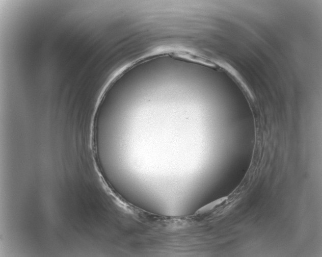 X0000059800815200511181513