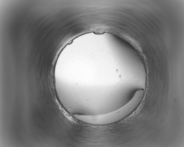 X0000059800816200511181513