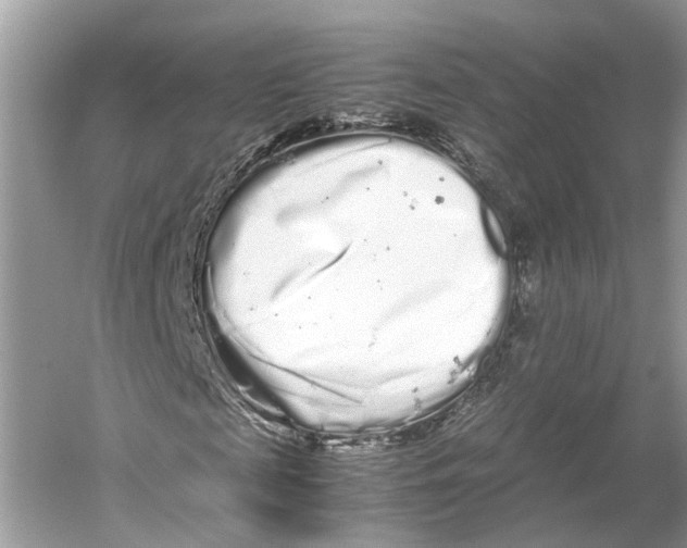 X0000059800817200511181512