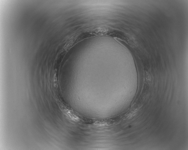 X0000059800818200511181512