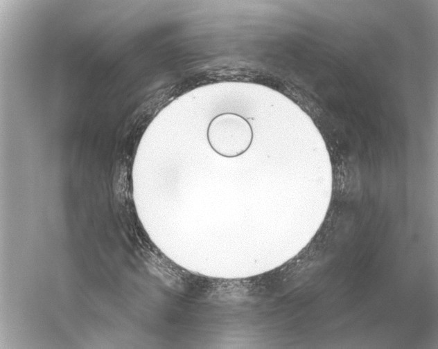 X0000059800820200511181512