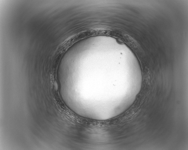 X0000059800821200511181512