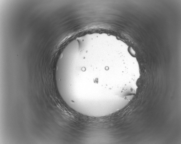 X0000059800824200511181512