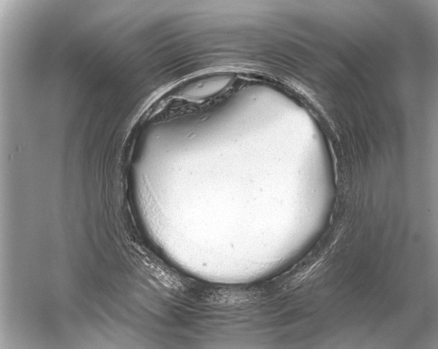 X0000059800829200511181512