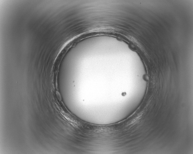 X0000059800830200511181512