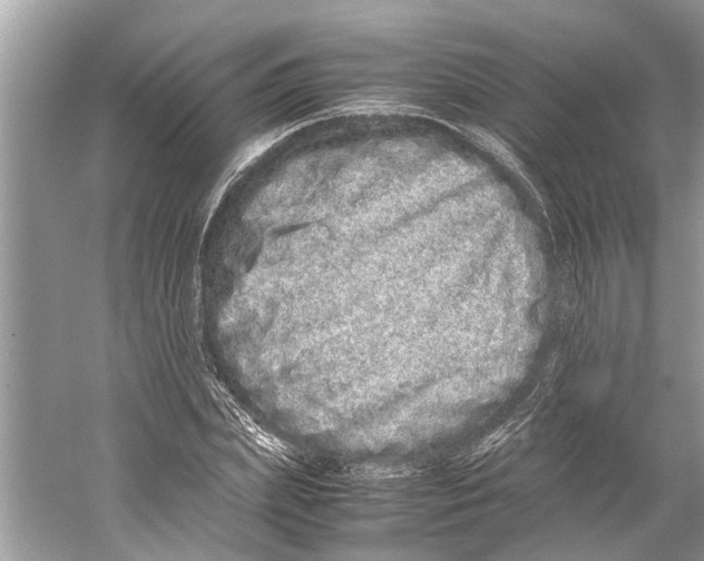 X0000059800831200511181512