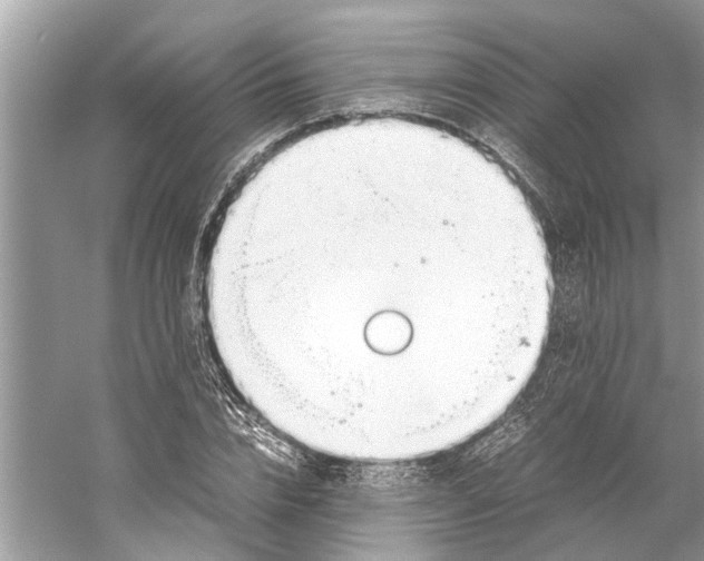 X0000059800832200511181512