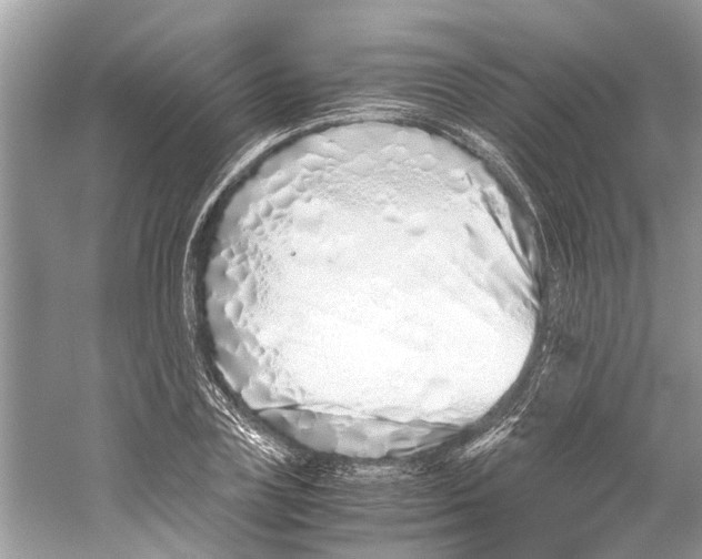 X0000059800835200511181512