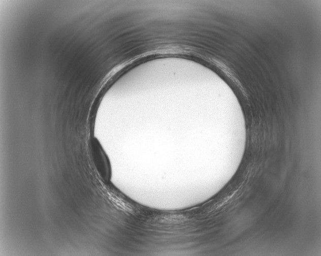 X0000059800837200511181512