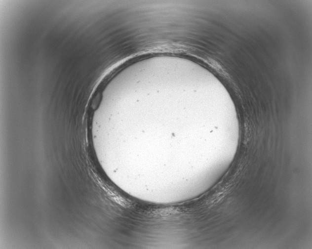 X0000059800838200511181512