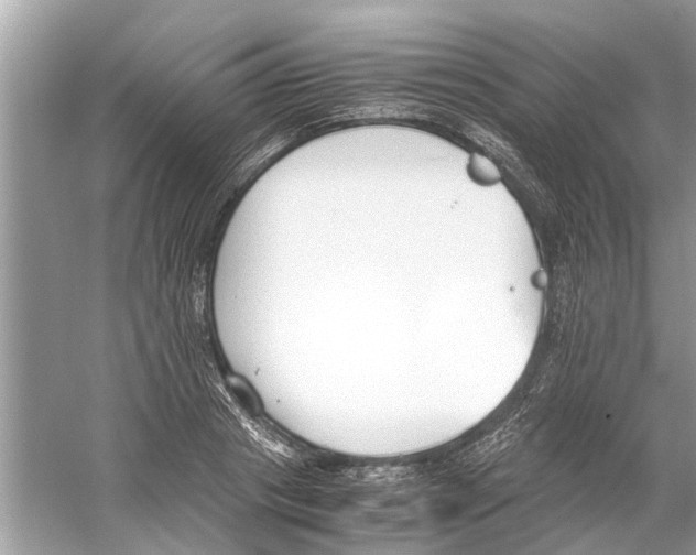 X0000059800841200511181512