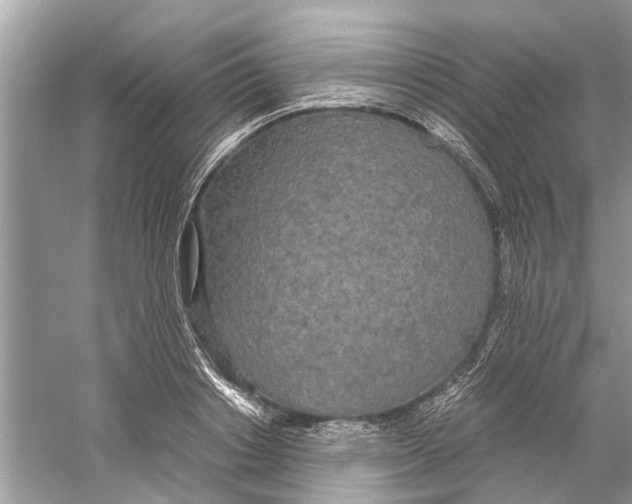 X0000059800842200511181512