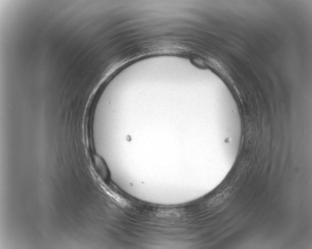 X0000059800843200511181512