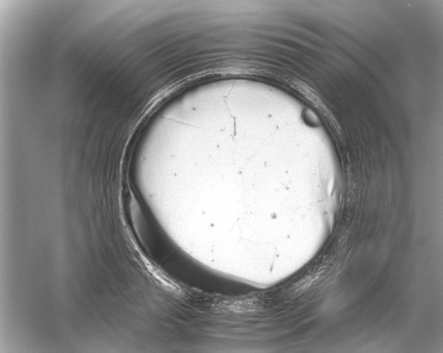 X0000059800845200511181512