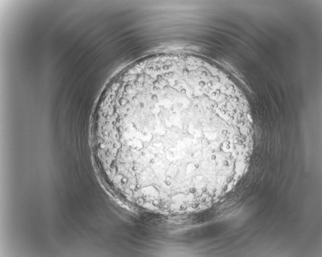 X0000059800848200511181512