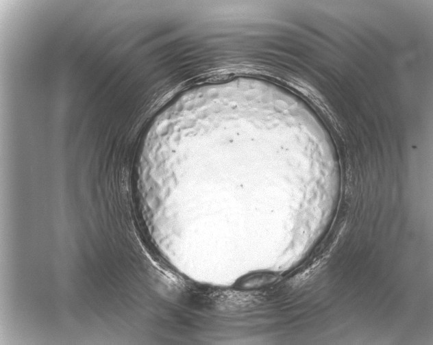 X0000059800849200511181512