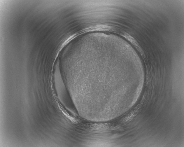 X0000059800850200511181512