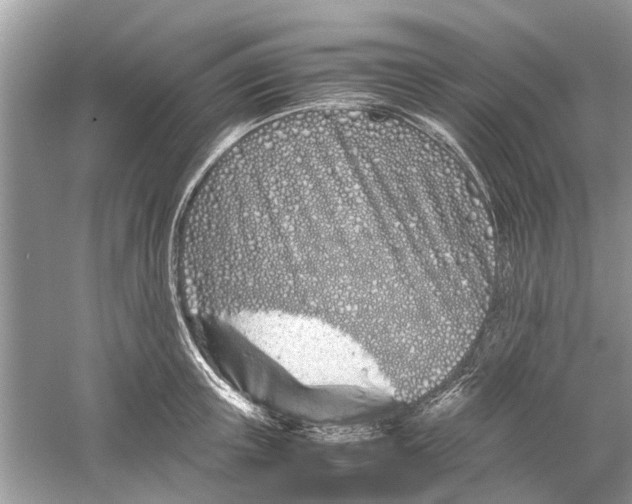 X0000059800851200511181512