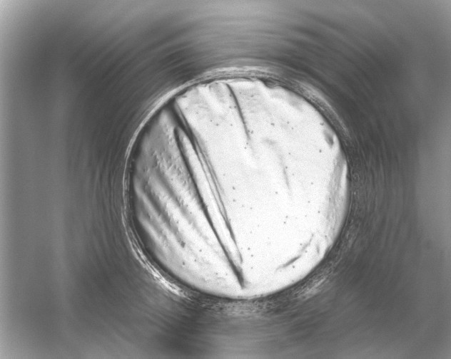 X0000059800852200511181512