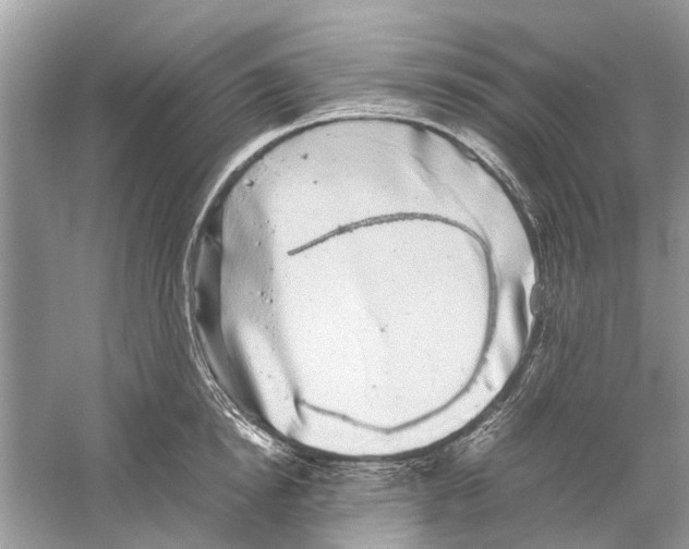 X0000059800854200511181512