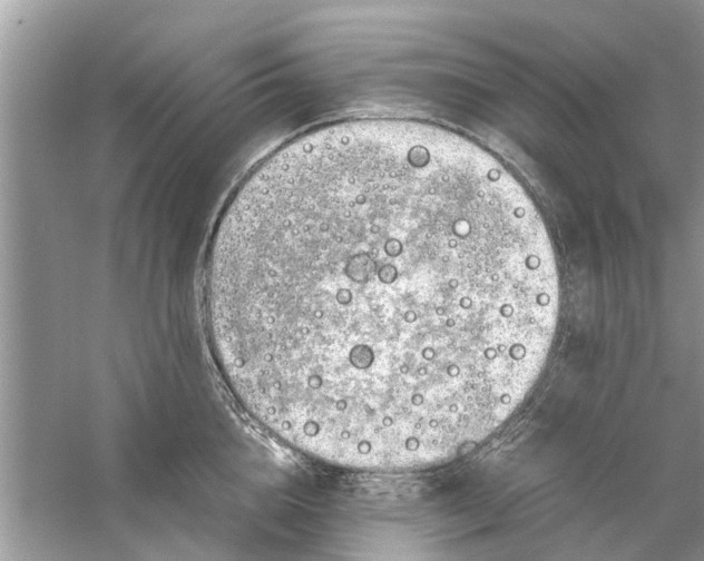 X0000059800856200511181512