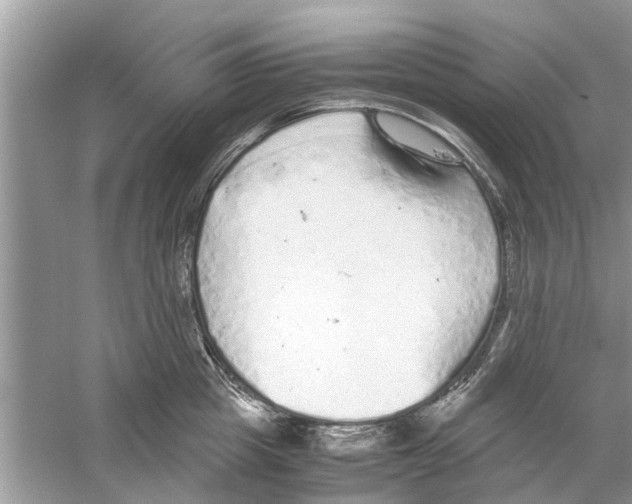 X0000059800857200511181512