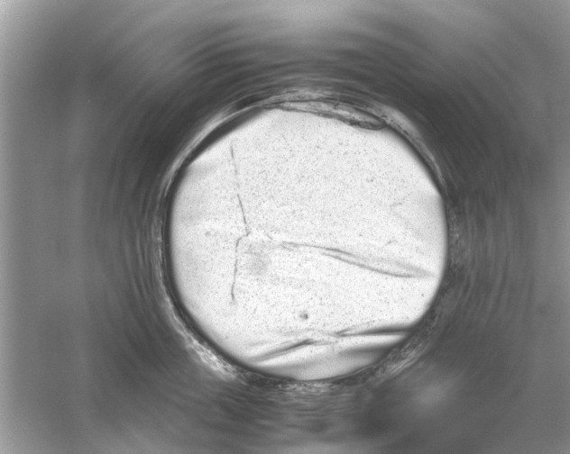 X0000059800859200511181512