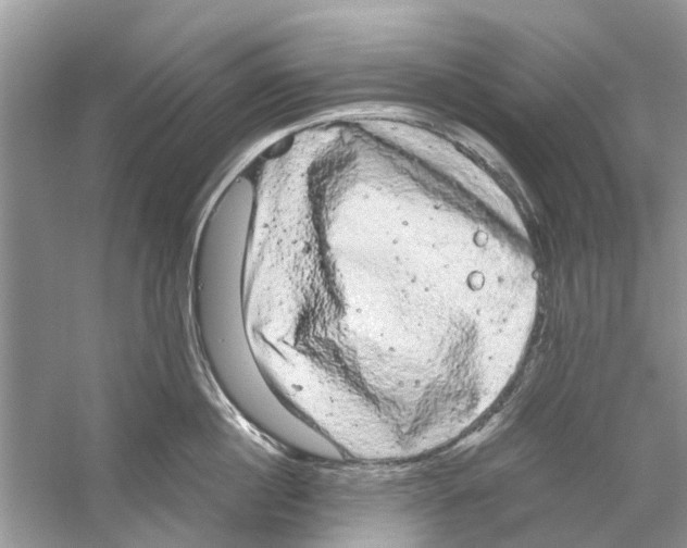 X0000059800860200511181513