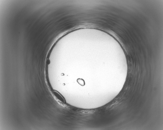 X0000059800861200511181513