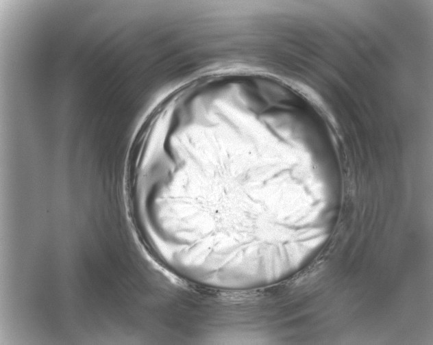 X0000059800863200511181513