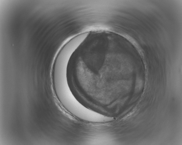 X0000059800864200511181513