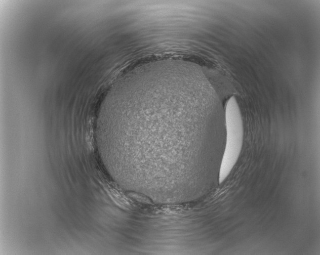 X0000059800868200511181512