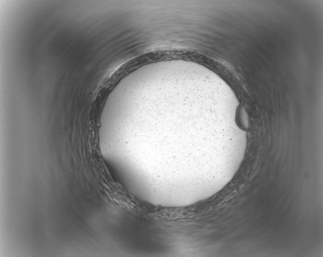 X0000059800871200511181512