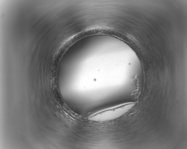 X0000059800872200511181512