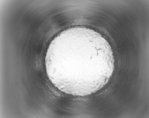 X0000059800874200511181512