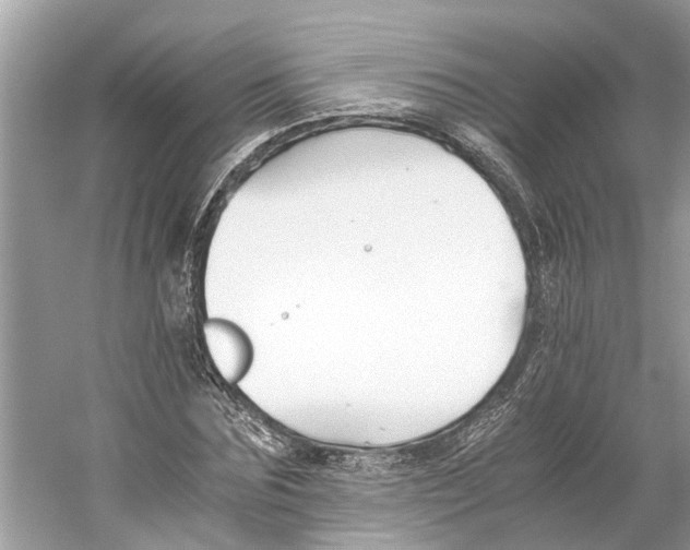 X0000059800875200511181512